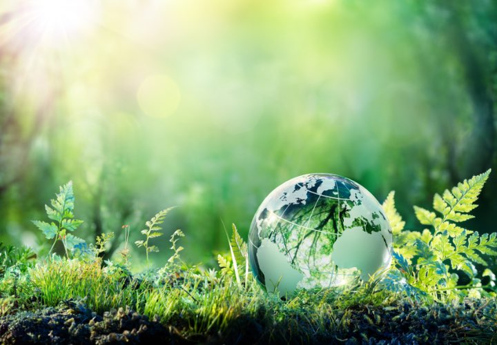 A crystal globe is placed on the green grass.